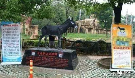 曾活驢喂虎的動(dòng)物園涉9500萬(wàn)經(jīng)濟(jì)糾紛 開(kāi)庭無(wú)果