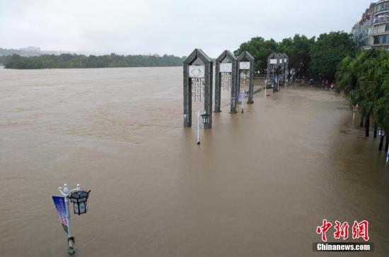 受新一輪連續(xù)強(qiáng)降雨影響，8月15日2時(shí)10分，漓江桂林水文站出現(xiàn)147.51米洪峰水位，超警戒水位1.51米，為今年最大洪水。當(dāng)天漓江旅游船舶、排筏全線封航。 趙琳露 攝