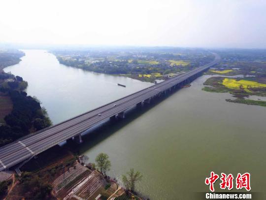 成安渝高速公路沱江河特大橋。　楊雨蒙 攝