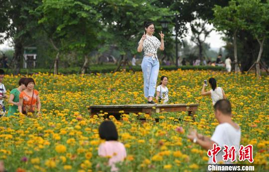 圖為游客在花叢中拍照留念。　呂明 攝