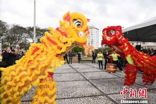 圖為圣保羅華星藝術(shù)團(tuán)表演精彩的舞獅，慶祝“中國廣場”和孔子雕像揭幕。　莫成雄 攝