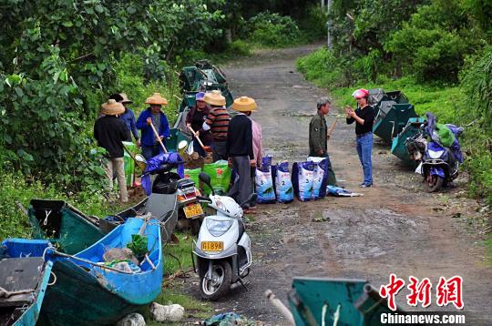 臺風“卡努”致廣東湛江直接經(jīng)濟損失逾8億元