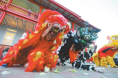 蘇里南首都帕拉馬里博，華裔民眾進(jìn)行舞獅表演，歡迎中國(guó)傳統(tǒng)春節(jié)到來。 　　人民視覺