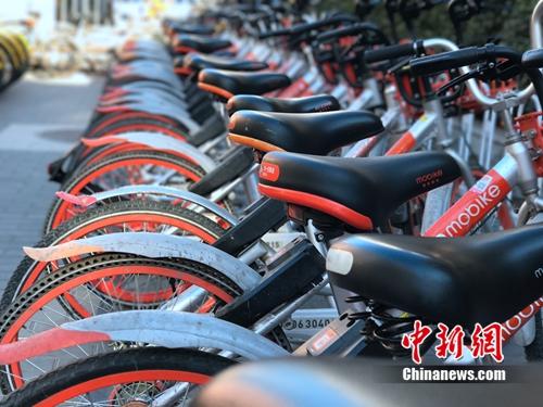 資料圖：清一色的摩拜單車。<a target='_blank' href='http://www.chinanews.com/' >中新網(wǎng)</a> 吳濤 攝