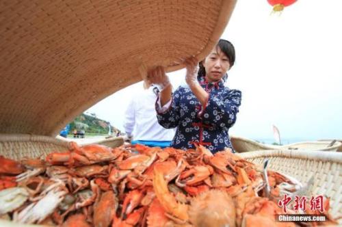 資料圖：螃蟹等海鮮走入尋常百姓家。<a target='_blank' href='http://www.chinanews.com/'>中新社</a>記者 楊兵 攝