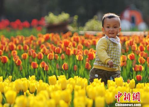 3月22日，小朋友在江西九江市濂溪區(qū)的九江新湖郁金香花博會現(xiàn)場玩耍。　胡國林　攝