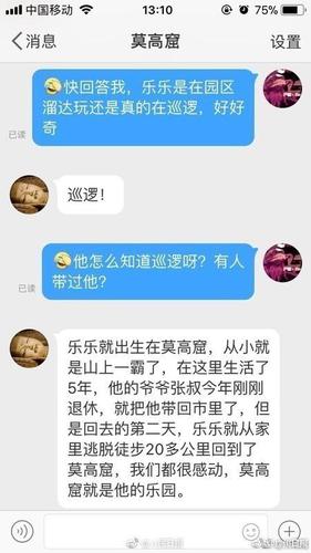 敦煌莫高窟小狗每天繞窟區(qū)巡邏走紅 被稱窟霸