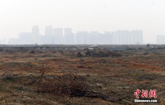 資料圖：土地已平整的區(qū)塊。<a target='_blank' href='http://www.chinanews.com/'>中新社</a>記者 王剛 攝