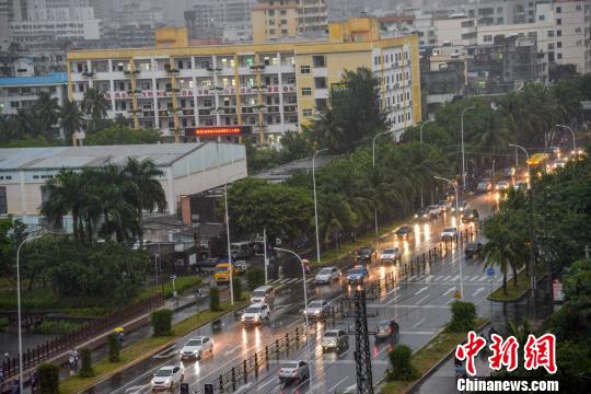 圖為熱帶風(fēng)暴給海口帶來風(fēng)雨影響。　洪堅鵬 攝