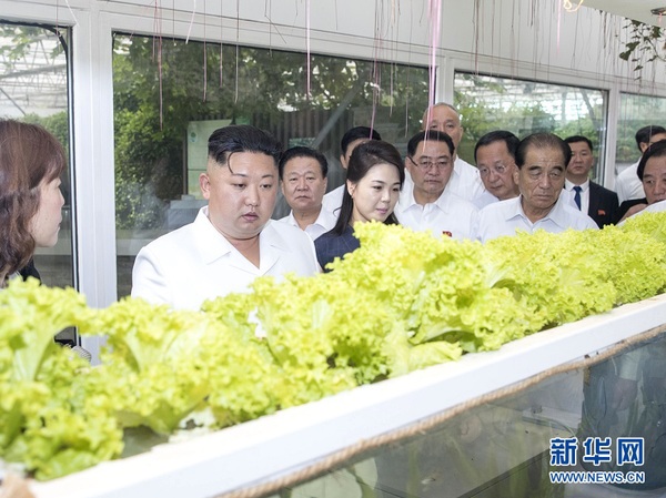 6月20日，中共中央總書記、國家主席習近平在北京釣魚臺國賓館會見朝鮮勞動黨委員長、國務委員會委員長金正恩。這是當天，金正恩參觀中國農(nóng)業(yè)科學院國家農(nóng)業(yè)科技創(chuàng)新園。