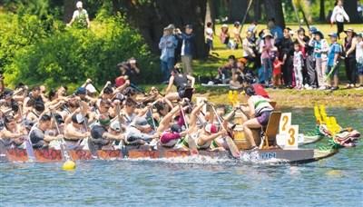 中國僑網(wǎng)6月16日，加拿大舉行第30屆多倫多國際龍舟節(jié)，這項(xiàng)為期兩天的傳統(tǒng)活動(dòng)吸引了來自世界各地的逾5000人參加。圖為參賽者在龍舟賽中。(新華社/鄒崢 攝)