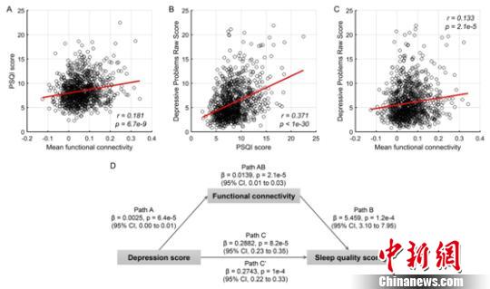 國際合作團(tuán)隊揭示抑郁癥與睡眠問題之間的腦調(diào)控機制