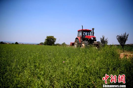 點擊進入下一頁