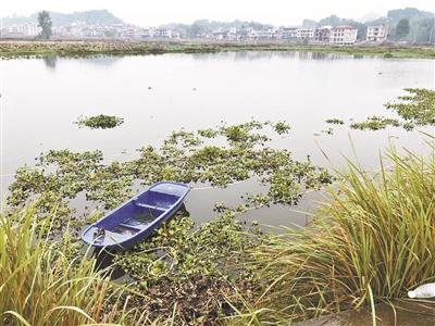 點擊進(jìn)入下一頁