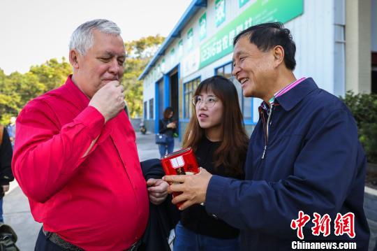 中外專家湖北宜都共研“宜紅茶與中俄萬(wàn)里茶道”