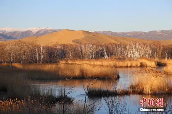 初冬時節(jié)，新疆生產(chǎn)建設(shè)兵團白沙湖景區(qū)。楊東東 攝