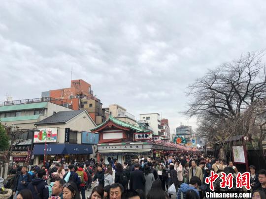 春季出境游升溫原產(chǎn)地“打卡”、“種太陽(yáng)”之旅等受追捧