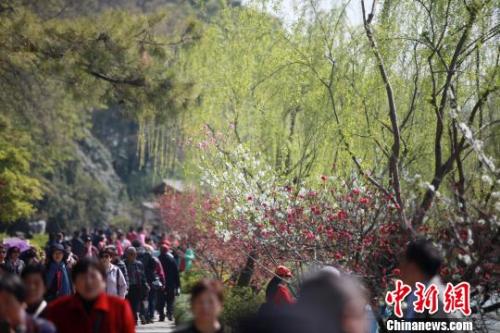 4月1日，大批游客在江蘇揚(yáng)州瘦西湖踏青游玩，親近自然?！∶系慢?攝