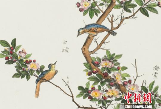 展品《中國(guó)植物——海棠》。黑龍江省美術(shù)館提供