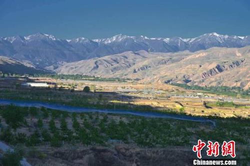 青海樂都：雪山下種出大櫻桃闖出脫貧新路子