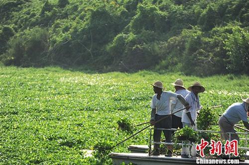 點擊進入下一頁