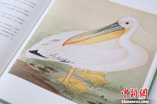 《故宮里的博物學(xué)》內(nèi)頁(yè) 故宮出版社供圖