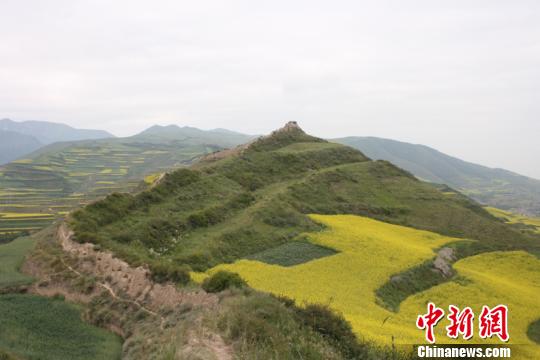 圖為青海省境內(nèi)明長(zhǎng)城。青海省文物局供圖