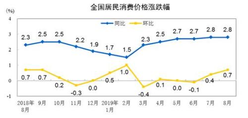 CPI走勢圖。來自國家統(tǒng)計局網(wǎng)站