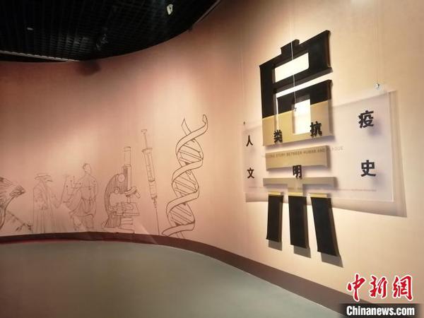 “啟示--人類抗疫文明史”展4日在遼寧省博物館進(jìn)行?！±顣?攝